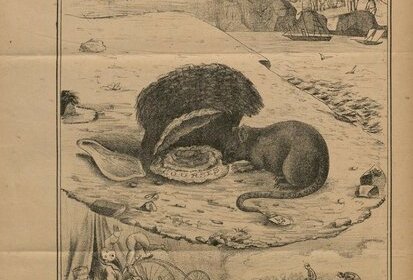 Le rat et l'huitre